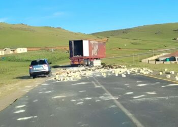 IVALIWE INDLELA U-R394 EMPUMA-KAPA NGENXA YOQHANKQALAZO OLUDALE UMONAKALO.