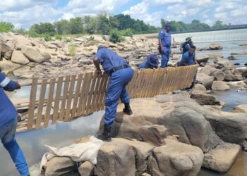 AMAPOLISA AQHUBE UGQOGQO KUMDA WELI ELIMPOMPO