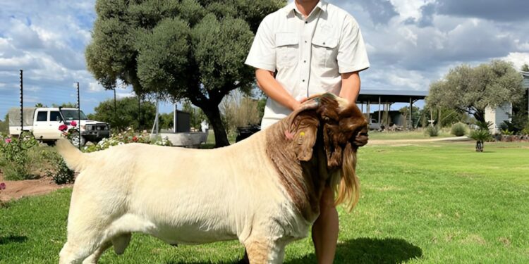 UMFAMA UTHENGISE IBHOKHWE YAKHE NGEMILLION.