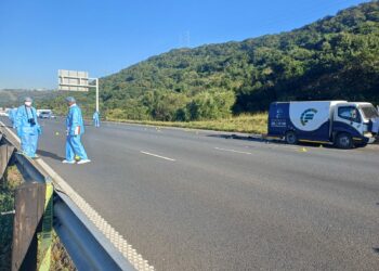 Ipolisa lisinde kuthotho lweembumbulu emva kophango lwesithuthi semali eThekwini.