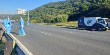 Ipolisa lisinde kuthotho lweembumbulu emva kophango lwesithuthi semali eThekwini.