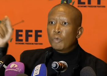 Le khabhinethi izakusebenzela ongxowa nkulu – EFF