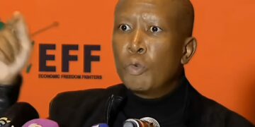 Le khabhinethi izakusebenzela ongxowa nkulu – EFF