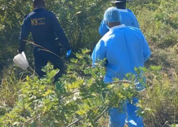 Unqunyulwe umqala waze wahlinzwa umsebenzi wasefama.