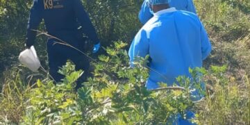 Unqunyulwe umqala waze wahlinzwa umsebenzi wasefama.