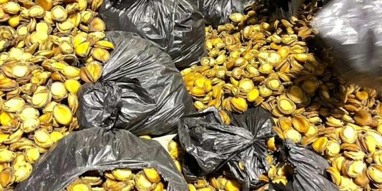 Indoda ibanjwe namangquba eRhini.