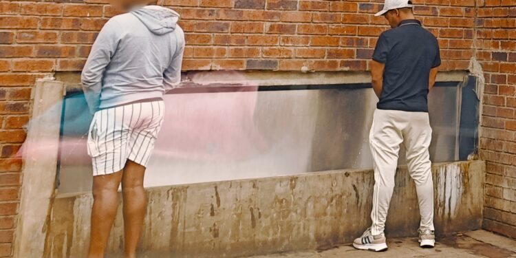 Kulungile ke senichama apha