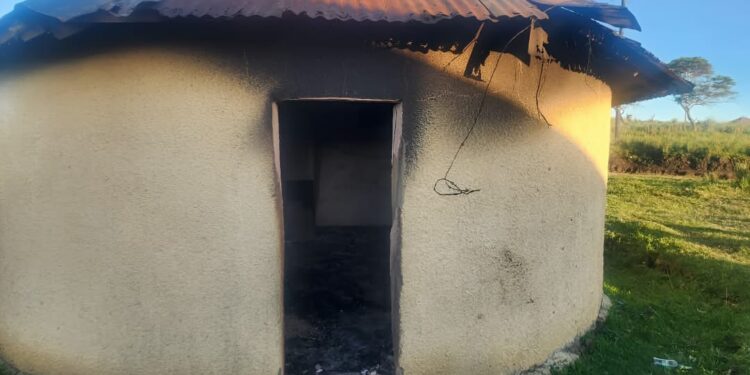 Kugetyengwe inkondekazi nabazukulwana bayo kuCentane eMpuma-Kapa.