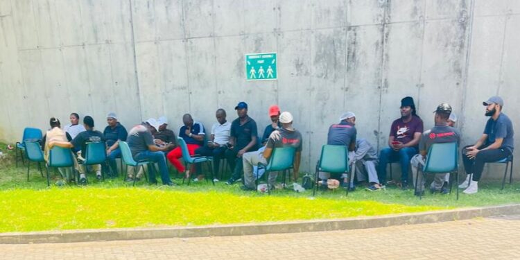 Workers at Seraphim New Energy in East London Allege Wage Violations and Forced Overtime