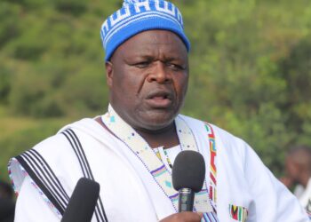 Abentlalo kaNtu bamemelela ibuyambo kumzi ontsundu.