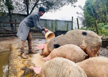 NDA Engages Stakeholders and Beneficiaries of Ingquza Hills Fresh Produce Cooperative