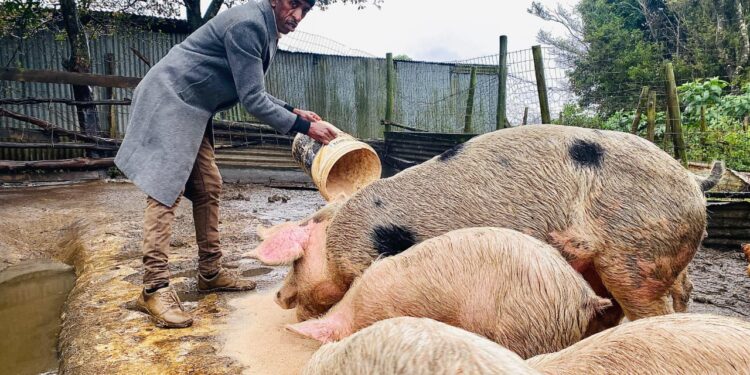 NDA Engages Stakeholders and Beneficiaries of Ingquza Hills Fresh Produce Cooperative