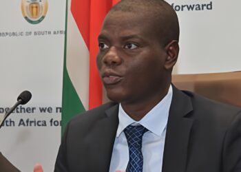 UMzantsi Afrika Wenza Izicwangciso Zokwandisa Amaziko Othungelwano Namanye Amazwekazi