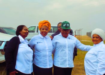 I-GCIS Iqinisa Amanina Angosomashishini eBuffalo City Ngencoko Yophuhliso