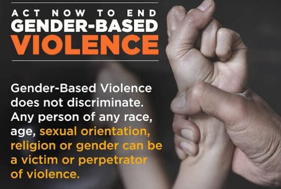 Makhanda High Court Hands Down Life Sentence for Brutal New Vale Rape