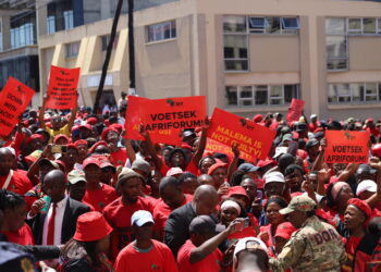 EFF Supporters Boost East London Businesses During Malema Court Appearance.