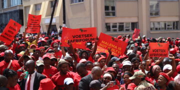 EFF Supporters Boost East London Businesses During Malema Court Appearance.