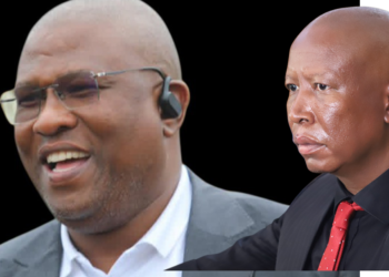 UMabuyane Usongela uMalema Ngamanyathelo Omthetho Ukuba Akazirhoxisi Izityholo Zakhe.