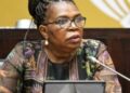 UMphathiswa omtsha woPhuhliso lweNtlalo, uDina Pule, uthi akazukuyithatha lula indima ayinikiweyo