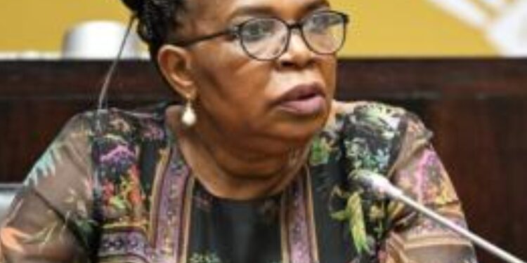 UMphathiswa omtsha woPhuhliso lweNtlalo, uDina Pule, uthi akazukuyithatha lula indima ayinikiweyo