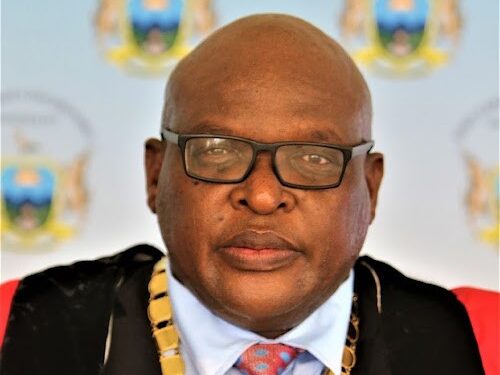 USodolophu waseKSD uNyaniso Nelani uyarhoxa okwethutyana emsebenzini ngenxa yenkqubo yenkundla